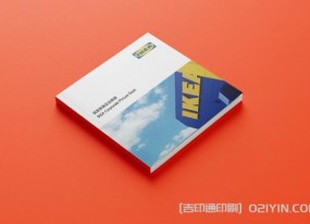 橙色系企業(yè)畫(huà)冊(cè)印刷