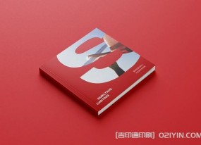 外企業(yè)畫(huà)冊(cè)設(shè)計(jì)印刷