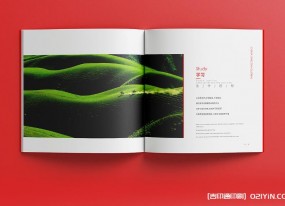 聚焦上海！企業畫冊印刷定制，助力品牌高效傳播