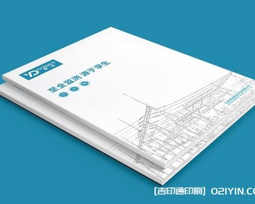 生態軟件IT供應鏈畫冊設計