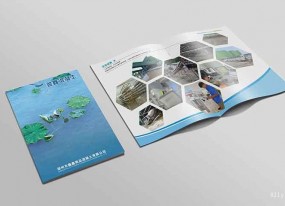 上海樣本印刷的綠色讀物市場探索