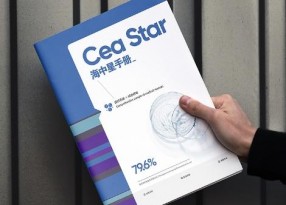 商業(yè)研發(fā)手冊設(shè)計(jì)印刷