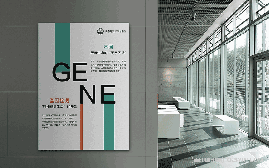 高清活動(dòng)醫(yī)療基因海報(bào)印刷  第3張