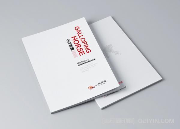 海外產(chǎn)品畫冊(cè)印刷  第2張
