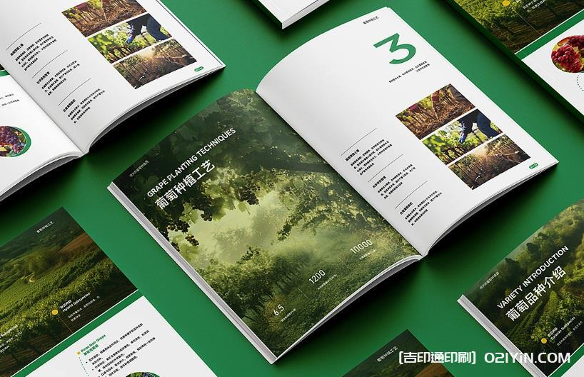 上海企業(yè)畫冊印刷專家：從設(shè)計(jì)到成品，一站式品質(zhì)服務(wù)  第1張